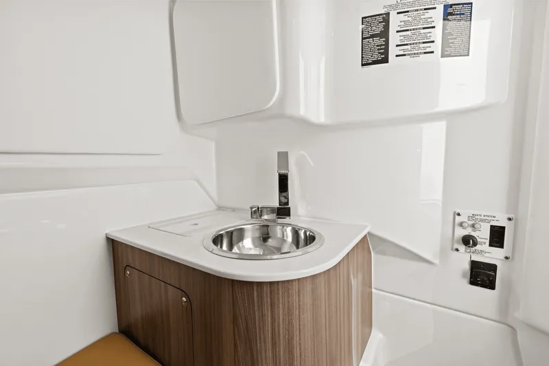 Slide: The Image of Sea Ray SDX 270 Outboard 2025 - 29