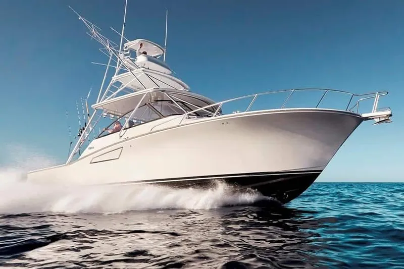 The Image of Cabo 41 2020 - 7