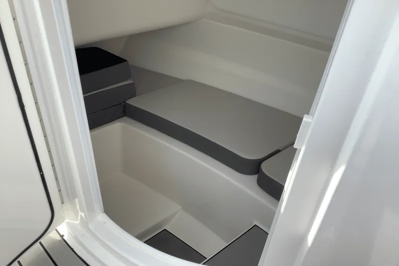 Slide: The Image of Sea Ray 250 SDX 2025 - 25