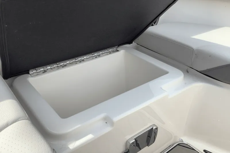 Slide: The Image of Sea Ray 250 SDX 2025 - 29