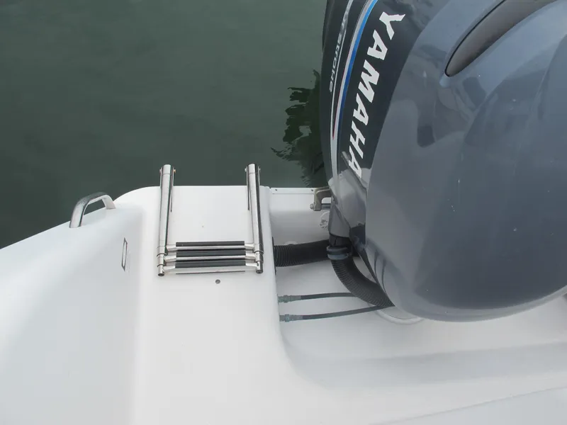 Slide: The Image of Swim Ladder - 21