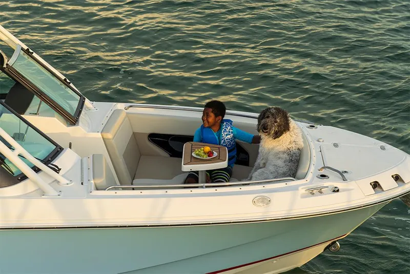 Slide: The Image of 2023 Boston Whaler 240 Vantage with child and dog enjoying a meal on the water. - 35