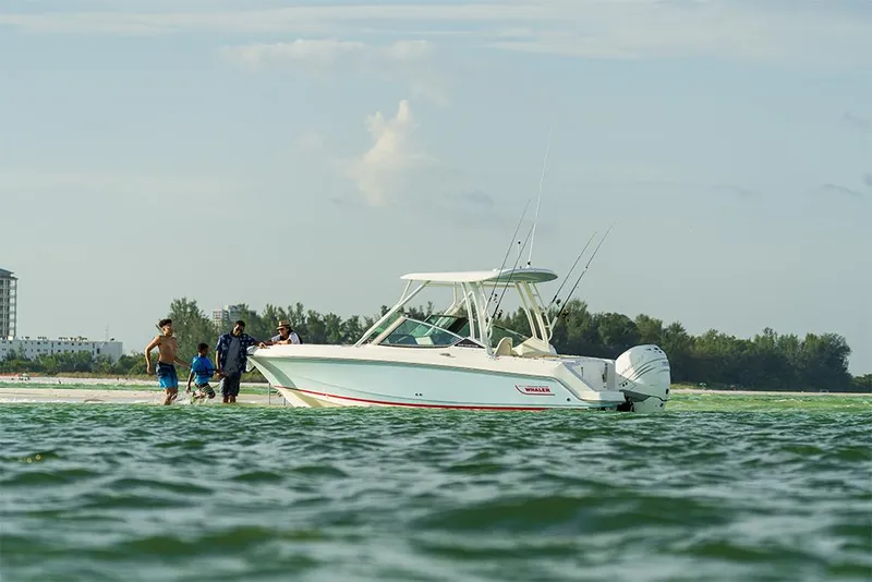 Slide: The Image of 2023 Boston Whaler 240 Vantage boat with people enjoying the water near the shore. - 46