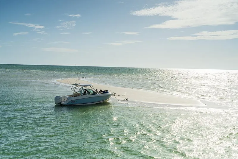 Slide: The Image of Boston Whaler 240 Vantage 2023 - 53