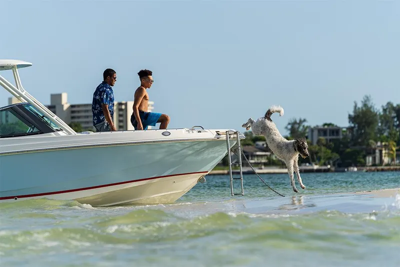Slide: The Image of Boston Whaler 240 Vantage 2023 - 64