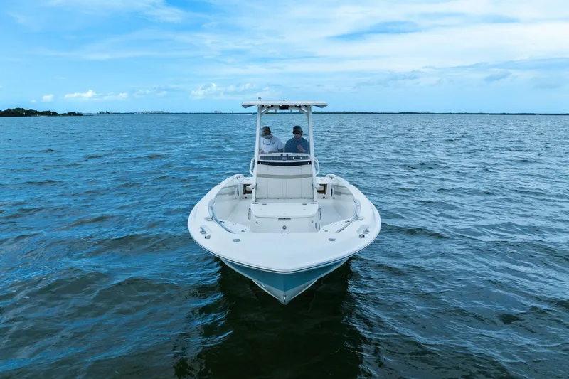 Slide: The Image of Boston Whaler 250 DAUNTLESS 2024 - 34