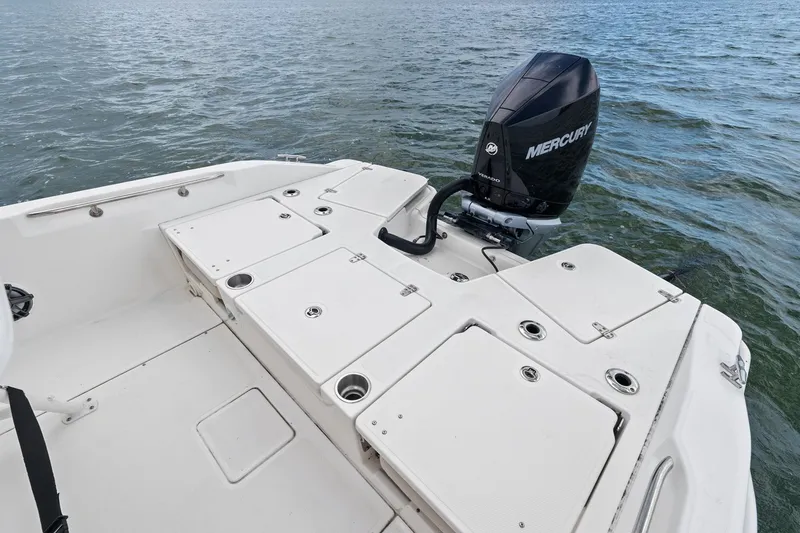 Slide: The Image of Boston Whaler 250 DAUNTLESS 2024 - 26