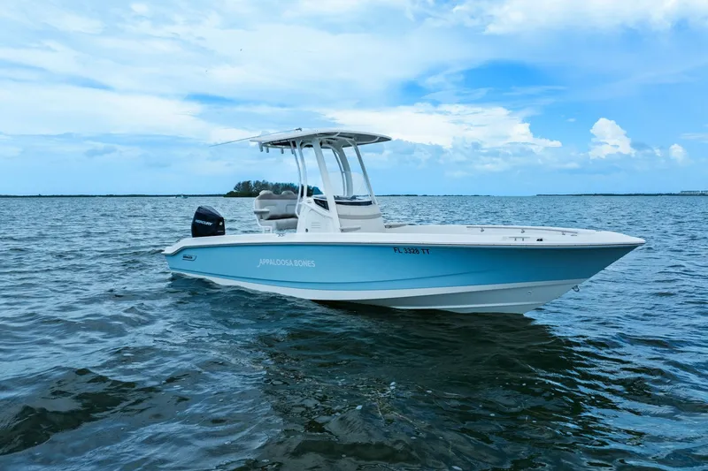 Slide: The Image of Boston Whaler 250 DAUNTLESS 2024 - 2