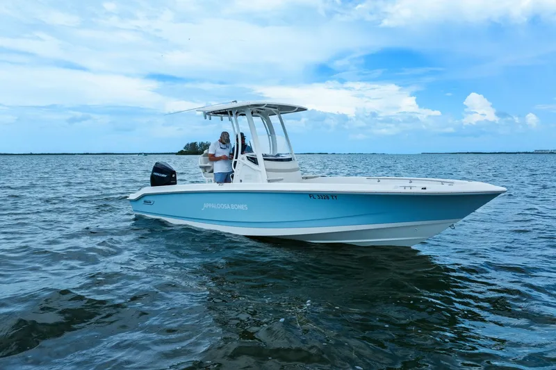 Slide: The Image of Boston Whaler 250 DAUNTLESS 2024 - 35