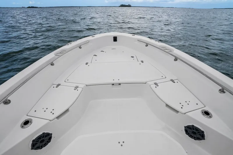 Slide: The Image of Boston Whaler 250 DAUNTLESS 2024 - 15
