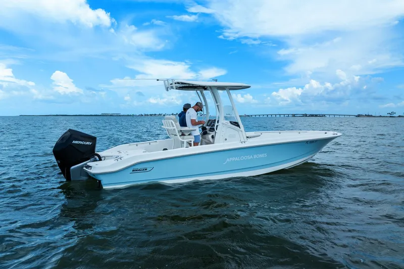 Slide: The Image of Boston Whaler 250 DAUNTLESS 2024 - 37
