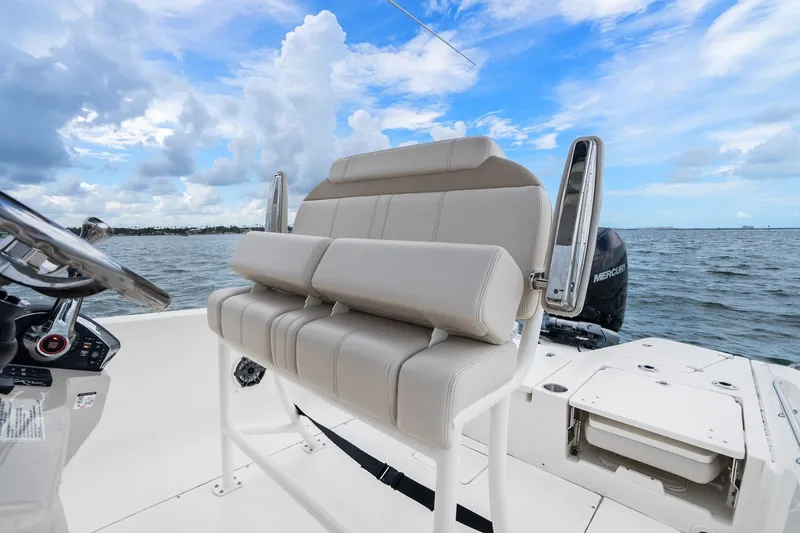 Slide: The Image of Boston Whaler 250 DAUNTLESS 2024 - 25