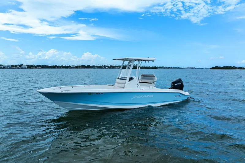 The Image of Boston Whaler 250 DAUNTLESS 2024 - 0