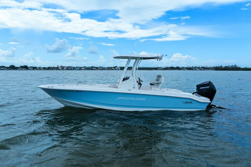 Slide: The Image of Boston Whaler 250 DAUNTLESS 2024 - 7