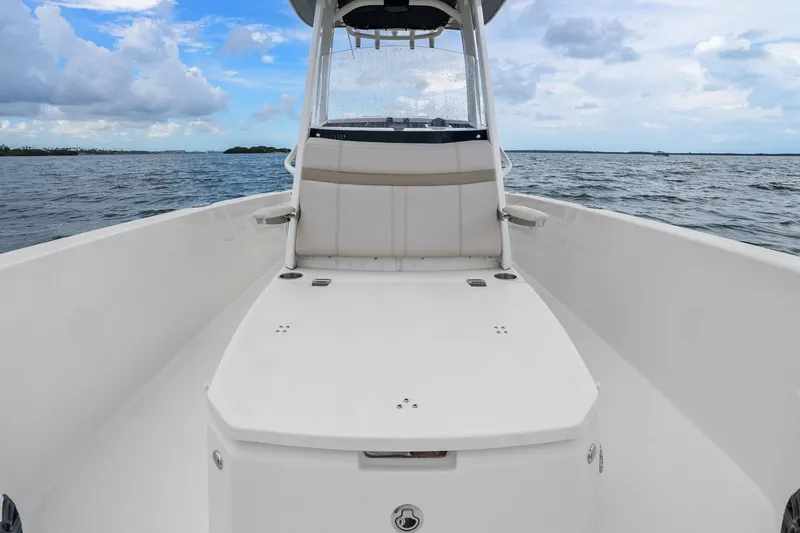 Slide: The Image of Boston Whaler 250 DAUNTLESS 2024 - 19