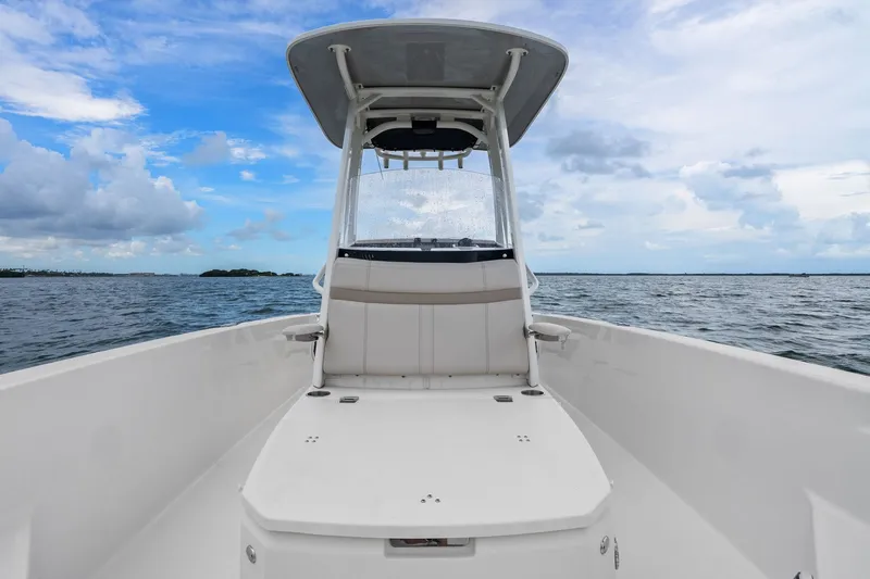 Slide: The Image of Boston Whaler 250 DAUNTLESS 2024 - 20