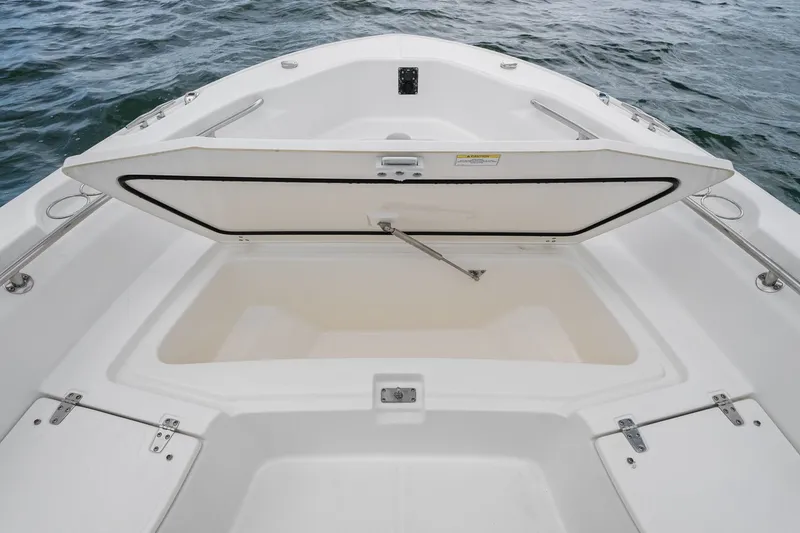 Slide: The Image of Boston Whaler 250 DAUNTLESS 2024 - 17