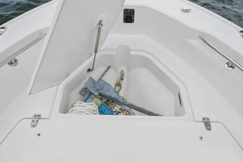Slide: The Image of Boston Whaler 250 DAUNTLESS 2024 - 16