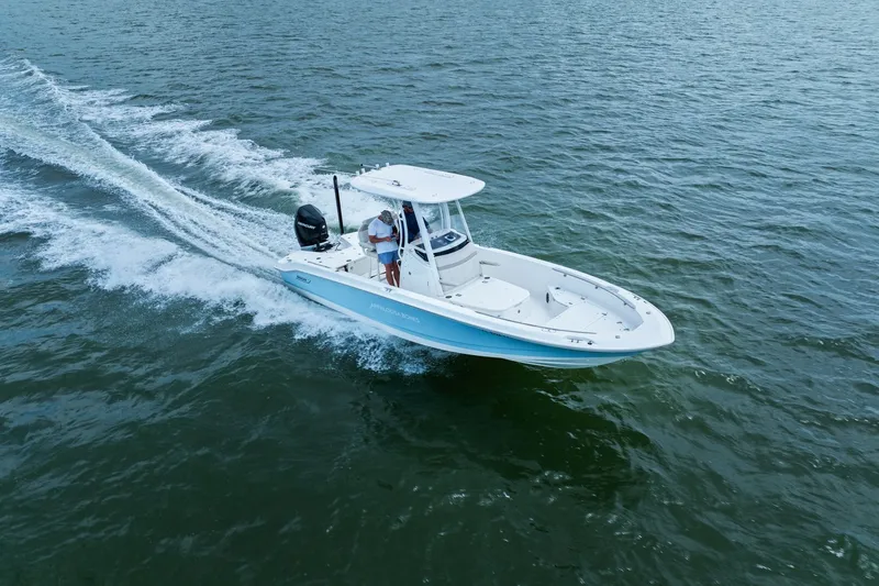Slide: The Image of Boston Whaler 250 DAUNTLESS 2024 - 12