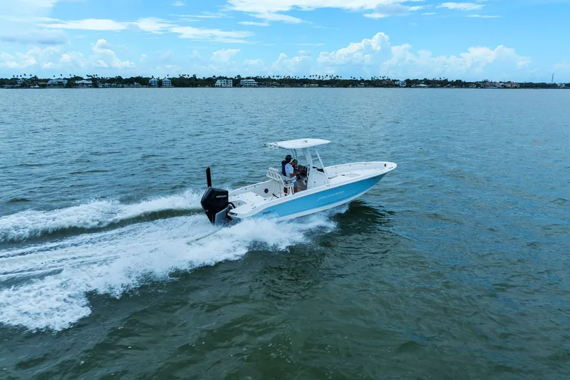 Slide: The Image of Boston Whaler 250 DAUNTLESS 2024 - 10