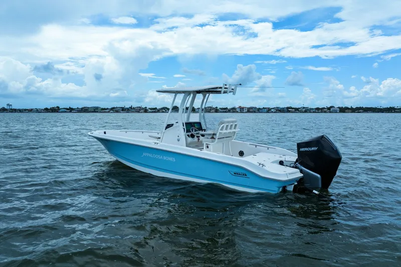 Slide: The Image of Boston Whaler 250 DAUNTLESS 2024 - 6
