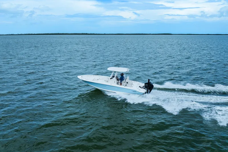 Slide: The Image of Boston Whaler 250 DAUNTLESS 2024 - 13