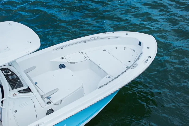 Slide: The Image of Boston Whaler 250 DAUNTLESS 2024 - 8