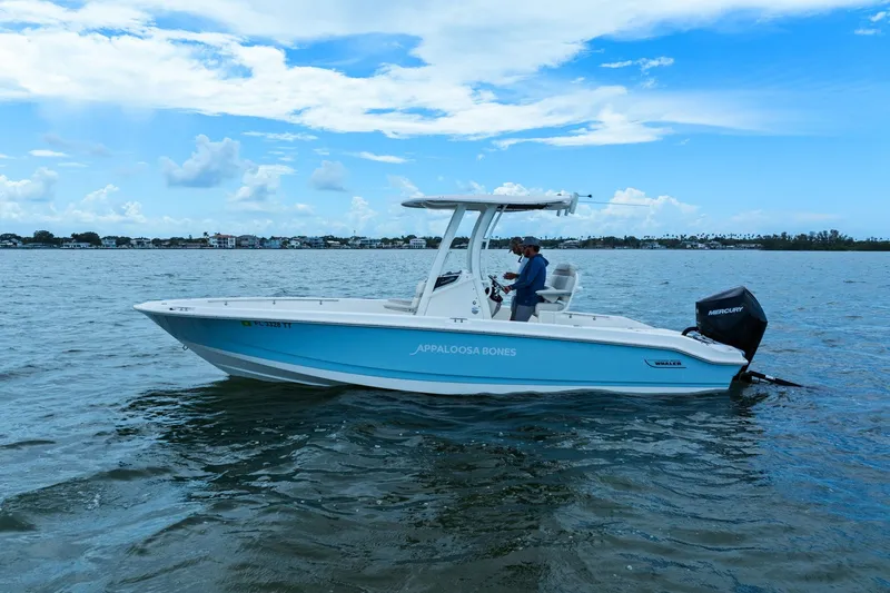 Slide: The Image of Boston Whaler 250 DAUNTLESS 2024 - 40