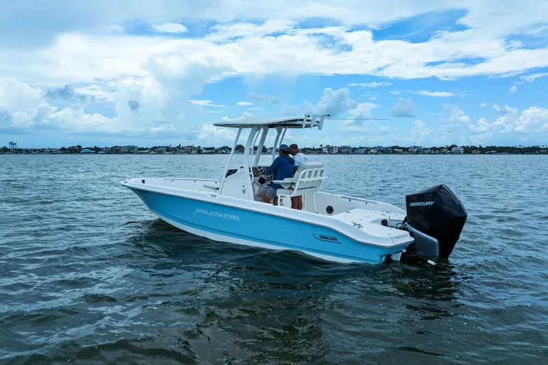 Slide: The Image of Boston Whaler 250 DAUNTLESS 2024 - 39