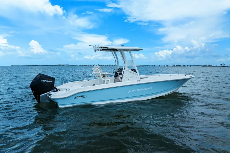 Slide: The Image of Boston Whaler 250 DAUNTLESS 2024 - 4