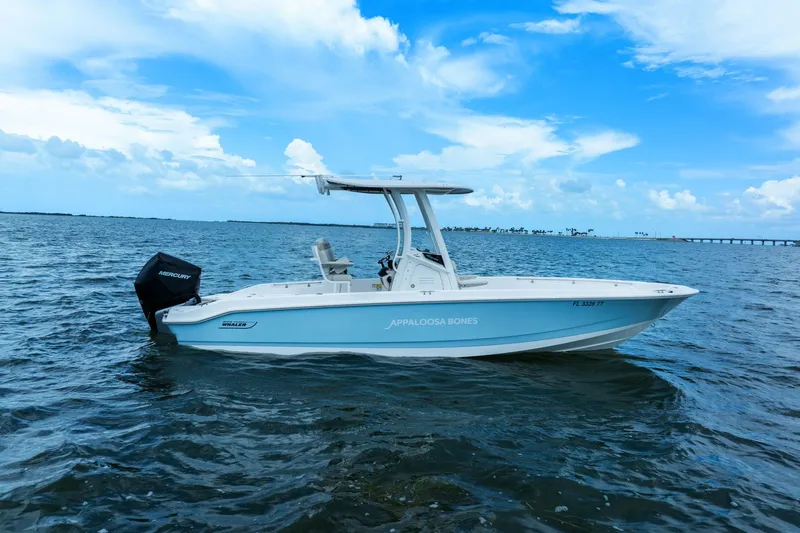 Slide: The Image of Boston Whaler 250 DAUNTLESS 2024 - 3