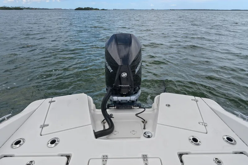Slide: The Image of Boston Whaler 250 DAUNTLESS 2024 - 27