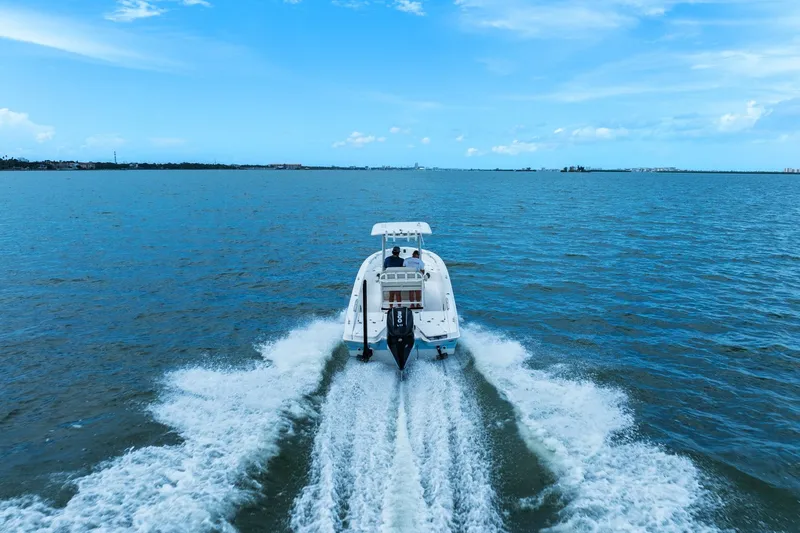 Slide: The Image of Boston Whaler 250 DAUNTLESS 2024 - 9