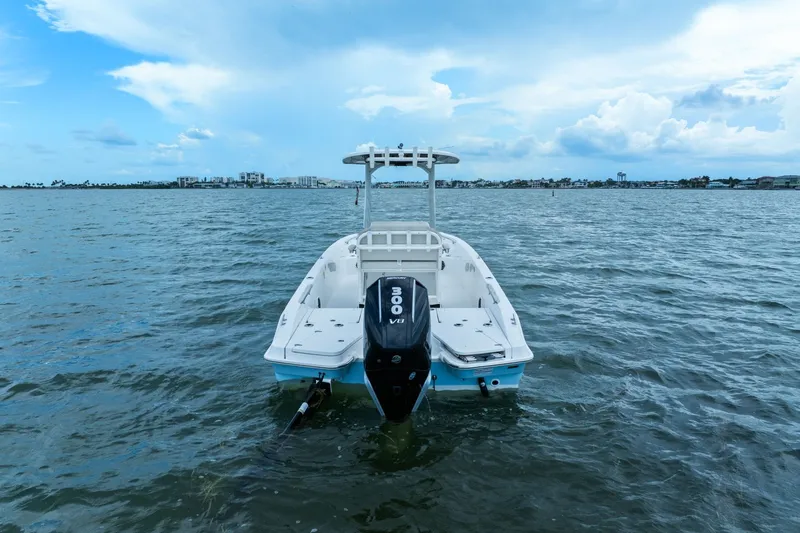 Slide: The Image of Boston Whaler 250 DAUNTLESS 2024 - 5