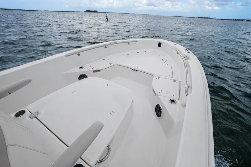 Slide: The Image of Boston Whaler 250 DAUNTLESS 2024 - 14