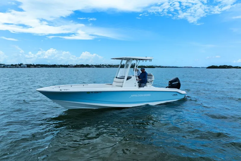 Slide: The Image of Boston Whaler 250 DAUNTLESS 2024 - 41