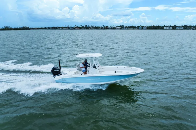 Slide: The Image of Boston Whaler 250 DAUNTLESS 2024 - 11