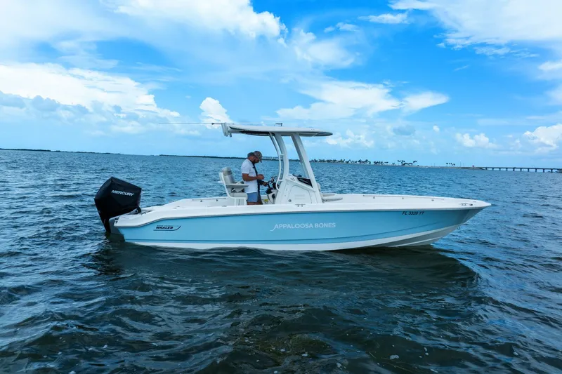Slide: The Image of Boston Whaler 250 DAUNTLESS 2024 - 36