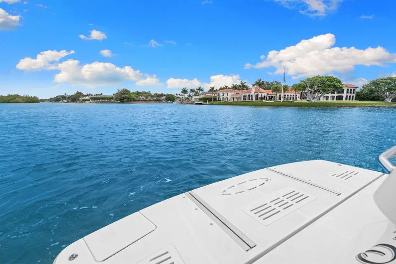 Slide: The Image of Sea Ray SUNDANCER 510 2017 - 8