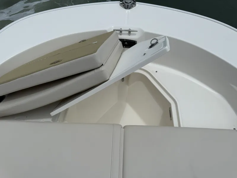 Slide: The Image of Boston Whaler 210 Montauk 2026 - 22