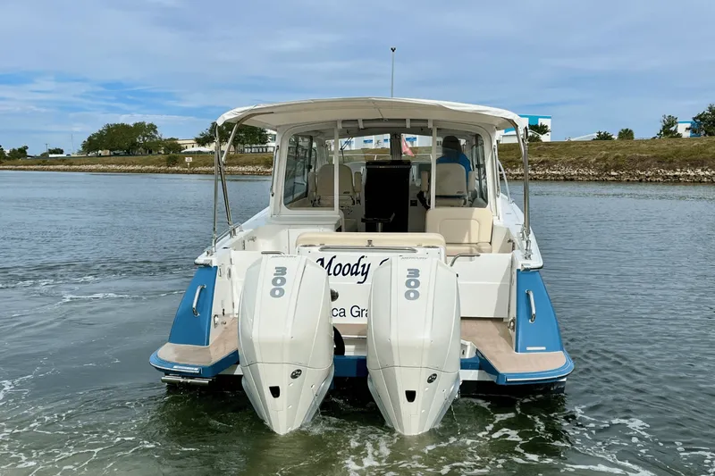 Slide: The Image of MJM 35 2023 - 11