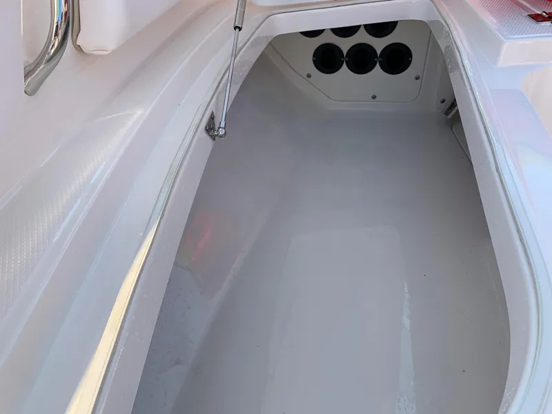 Slide: The Image of Robalo 246 Cayman 2024 - 24