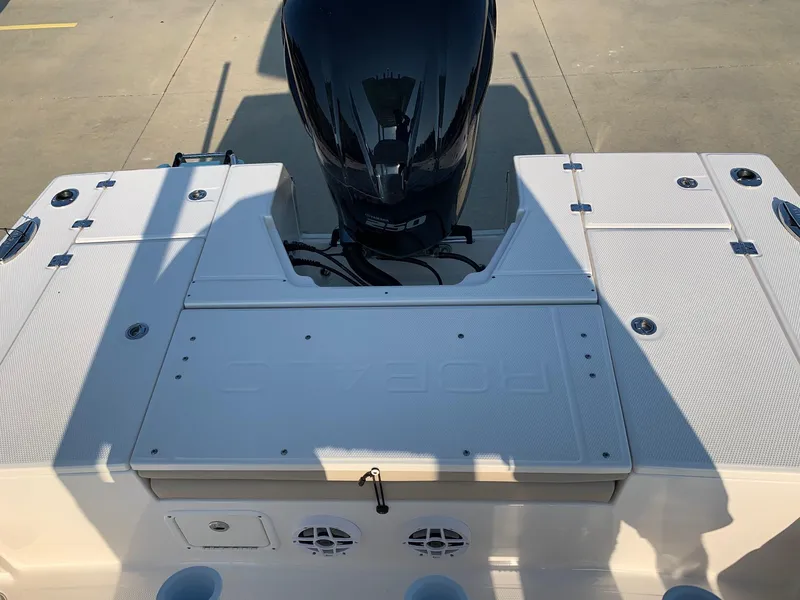 Slide: The Image of Robalo 246 Cayman 2024 - 8