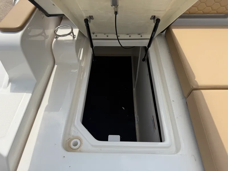 Slide: The Image of Sea Ray SDX 290 Outboard 2024 - 38