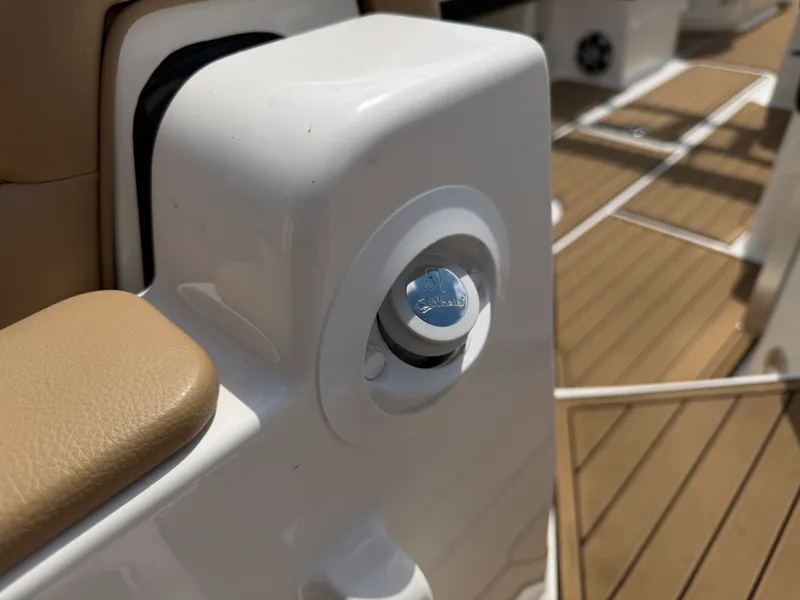 Slide: The Image of Sea Ray SDX 290 Outboard 2024 - 37
