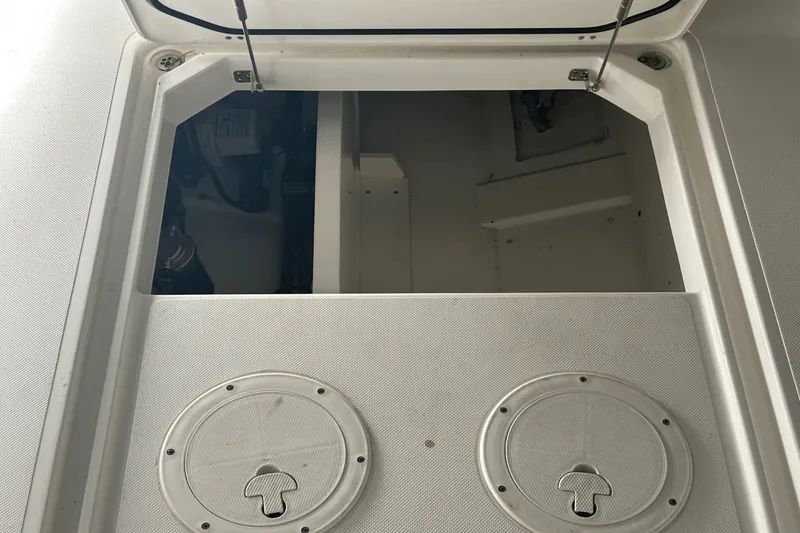 Slide: The Image of Pursuit DC295 2022 - 13