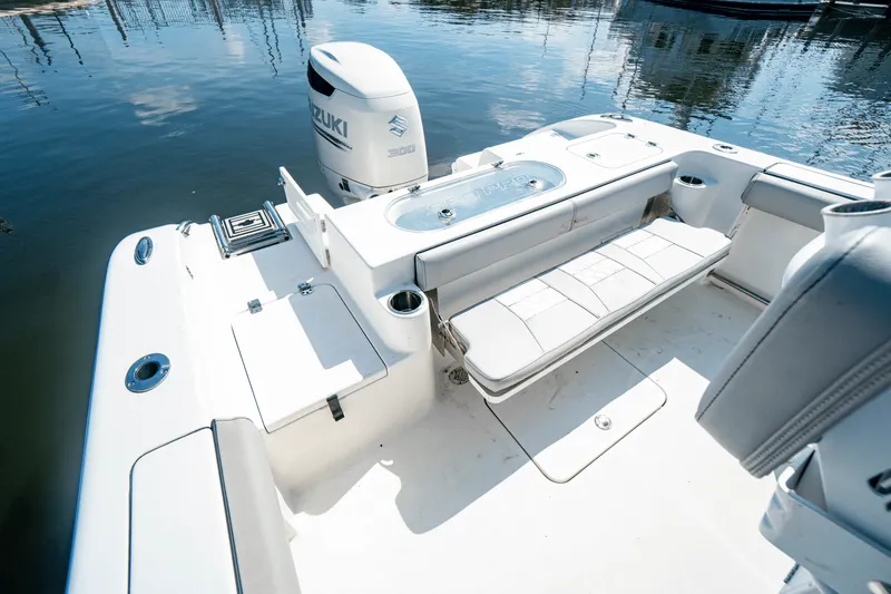 Slide: The Image of Sea Pro 239 CC 2018 - 27