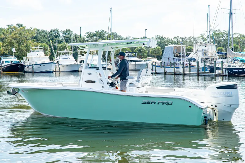 Slide: The Image of Sea Pro 239 CC 2018 - 3