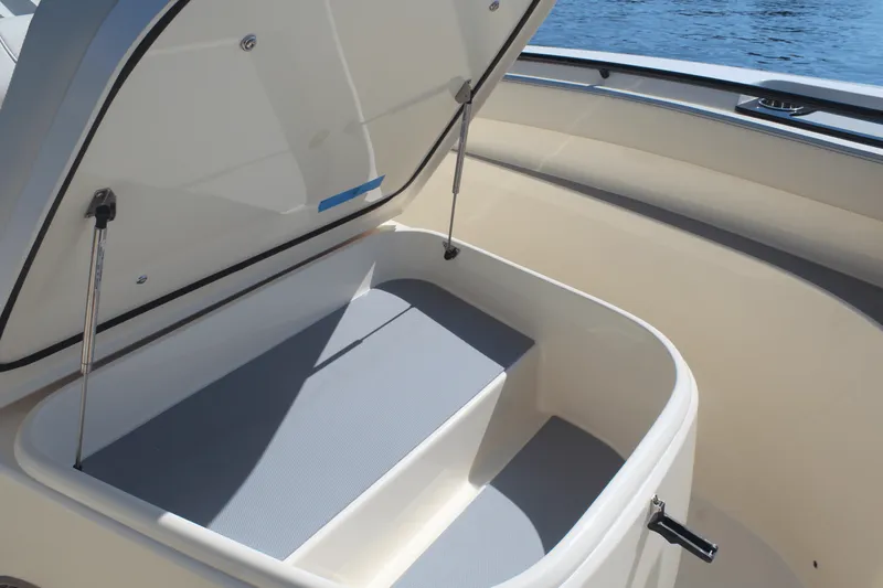 Slide: The Image of Scout 305 LXF 2026 - 41