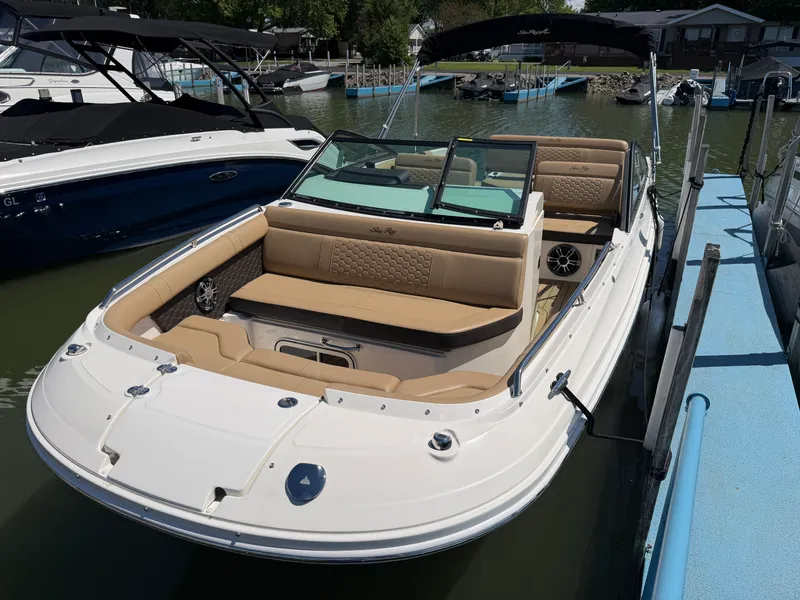 Slide: The Image of Sea Ray 250 SDX 2021 - 3